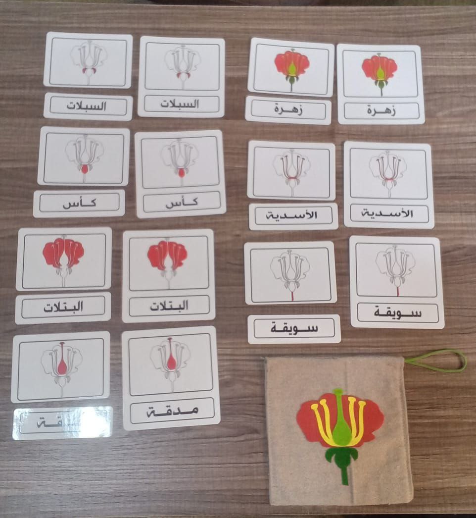كروت امتدادات الزهرة
