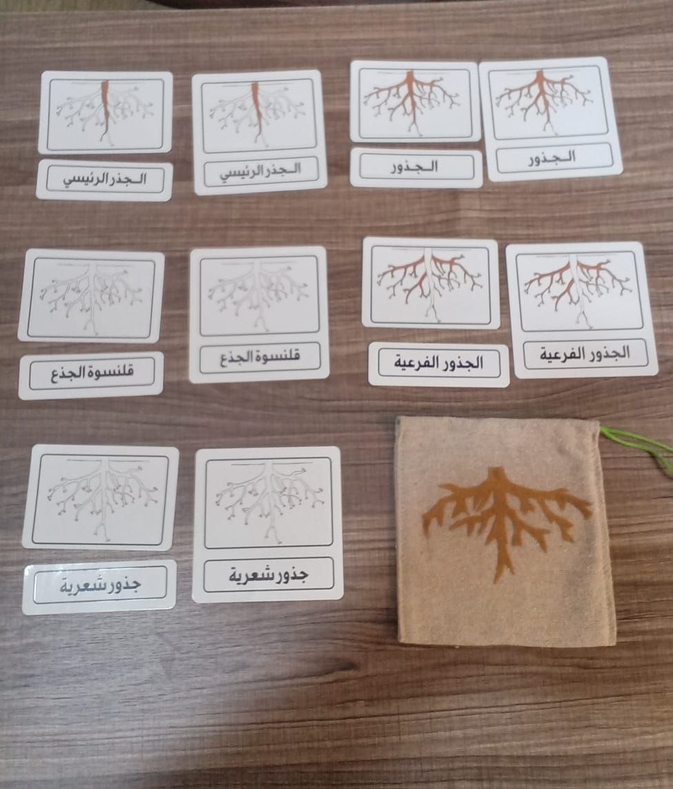 الكروت الثلاثيه للجذور